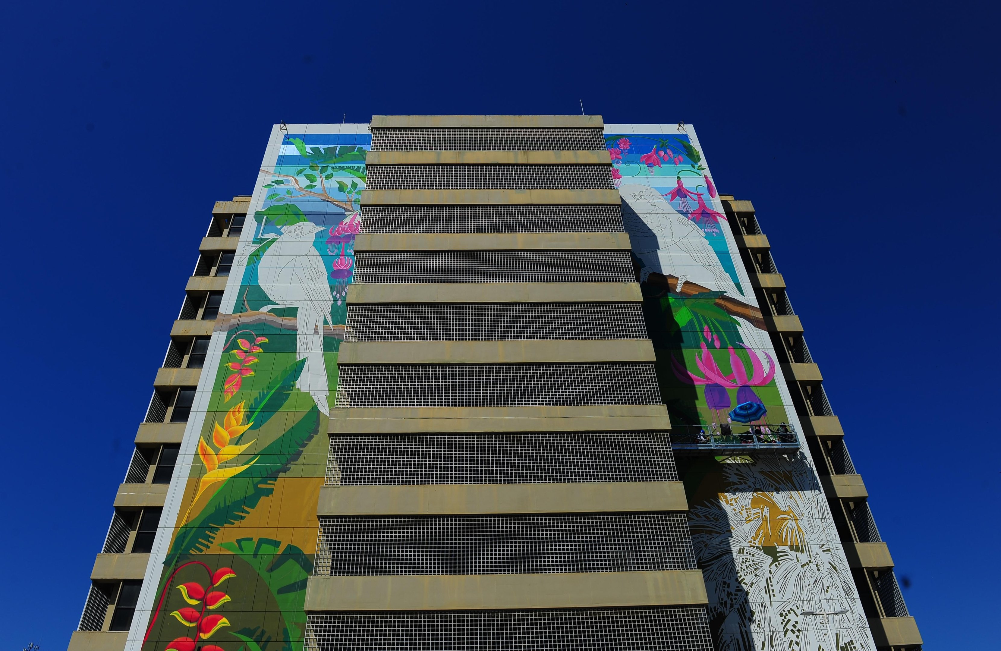 Sob o t&iacute;tulo "Fauna e Flora", mural assinado pelo artista Tio Trampo dever&aacute; ser entregue na pr&oacute;xima quinta-feira