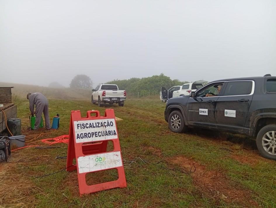 As medidas sanit&aacute;rias s&atilde;o essenciais para proteger os rebanhos ga&uacute;chos