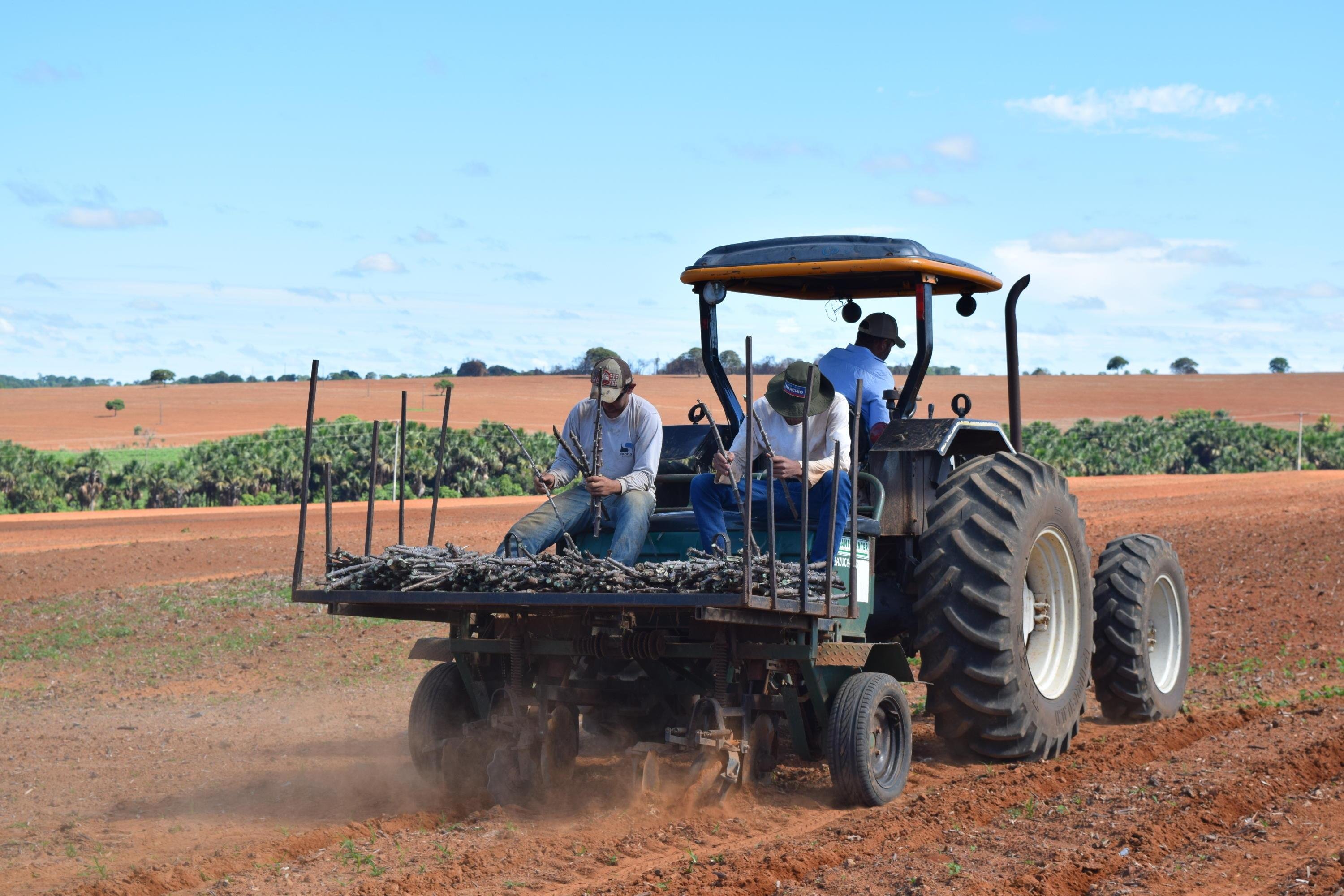 Plantio mecanizado de mandioca: um &uacute;nico ambiente para informa&ccedil;&otilde;es e promo&ccedil;&atilde;o das inova&ccedil;&otilde;es de m&aacute;quinas para agricultores familiares