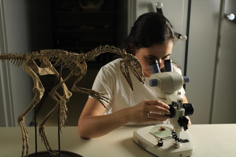 An&aacute;lises envolvem cientistas dos EUA, da Argentina e Alemanha