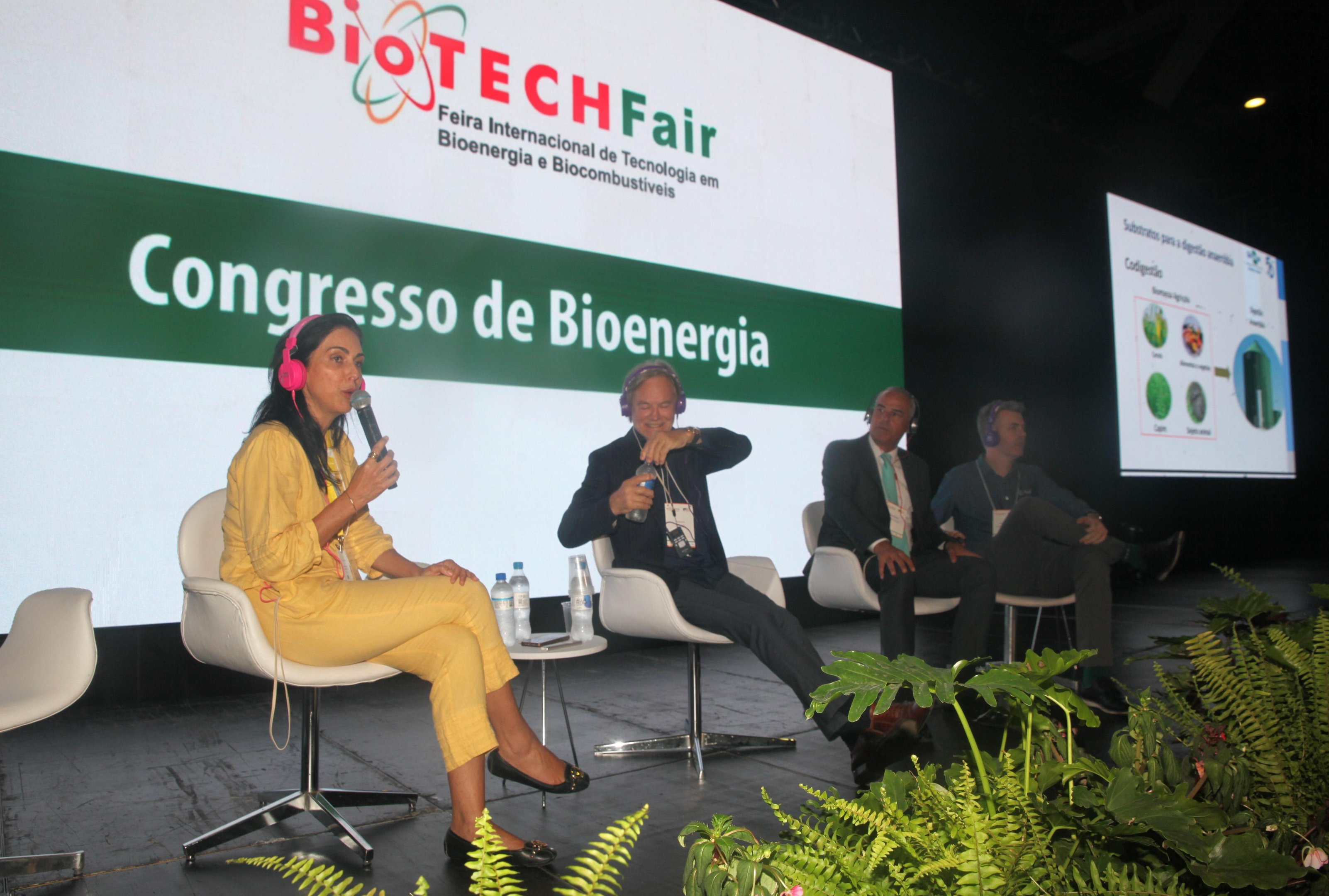 Debate foi mediado pela presidente do Sindienergia-RS, Daniela Cardeal
