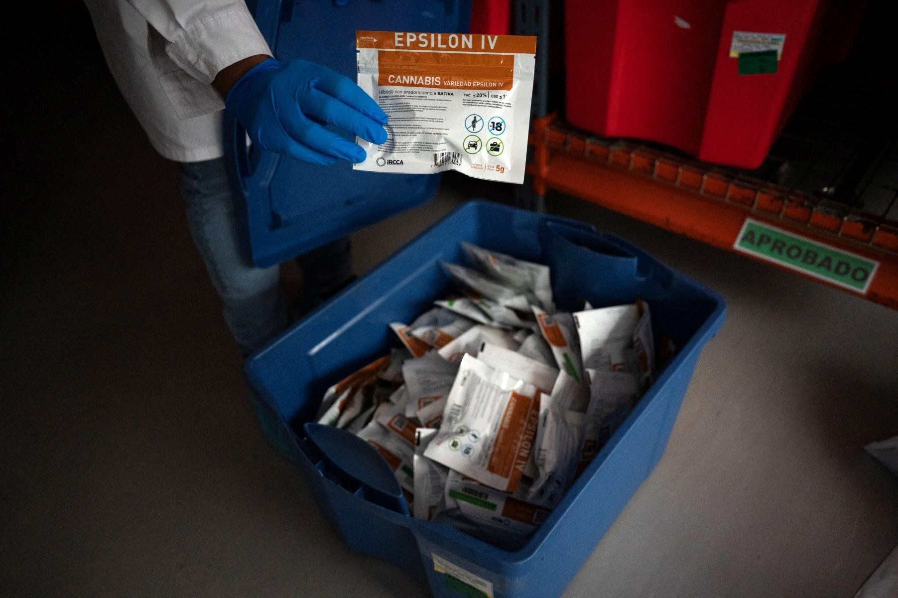 Em 2013, o Uruguai se tornou o primeiro pa&iacute;s a legalizar e regulamentar a produ&ccedil;&atilde;o e o consumo de cannabis