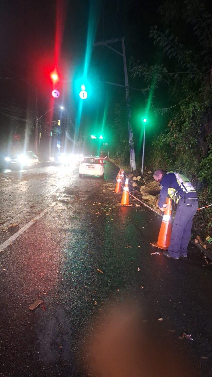 Agentes da EPTC retiraram uma &aacute;rvore que caiu na Oscar Pereira com a rua da Gruta, no bairro Gl&oacute;ria