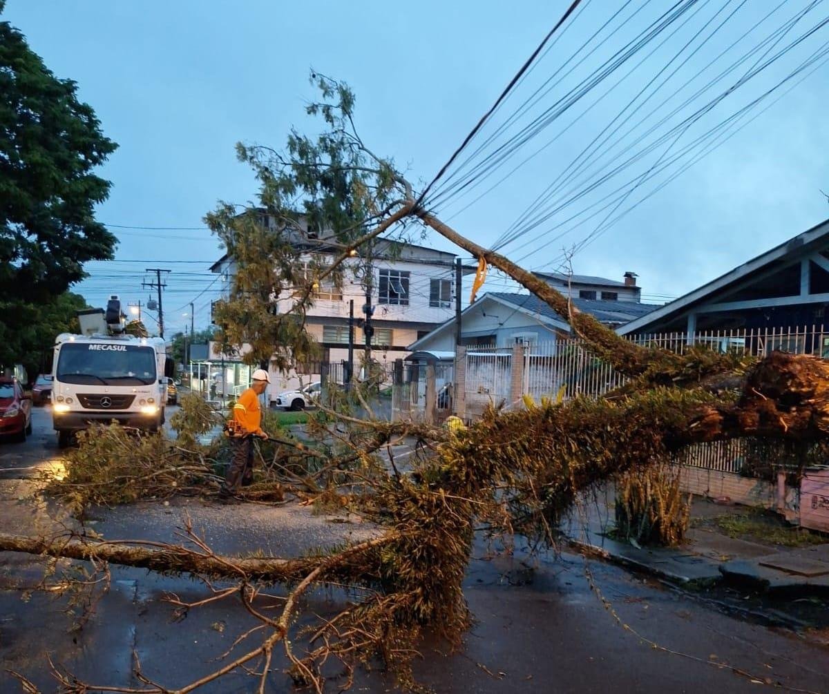 Em Gravata&iacute;, a queda de uma &aacute;rvore obstruiu o tr&acirc;nsito na Rua &Aacute;guas Brancas, no bairro Bom Princ&iacute;pio