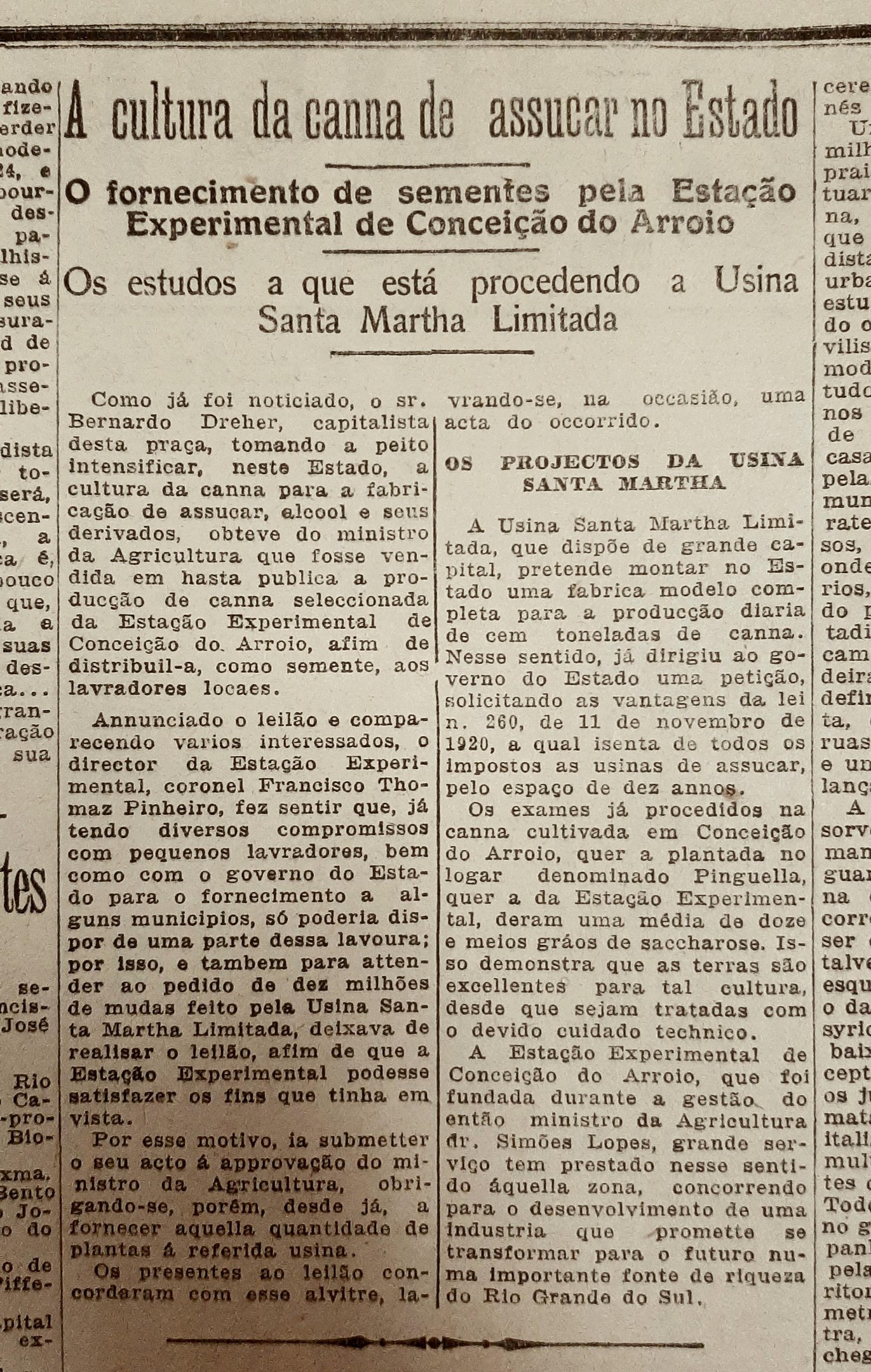 A cultura da cana n&atilde;o prosperou e eventualmente foi substitu&iacute;da pela banana no munic&iacute;pio do Litoral Norte