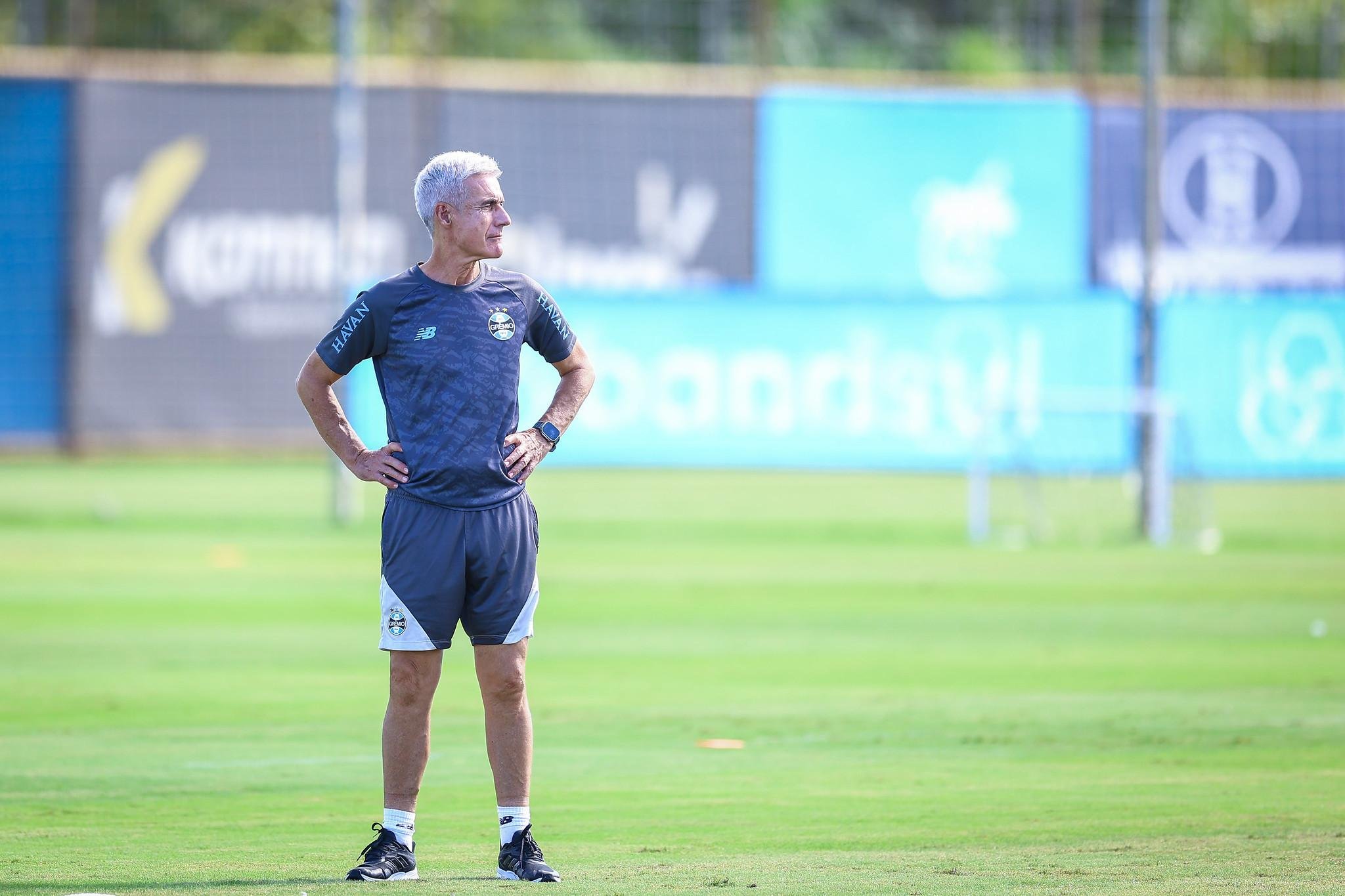 Lu&iacute;s Castro ter&aacute; poucos treinamentos para comandar em abril