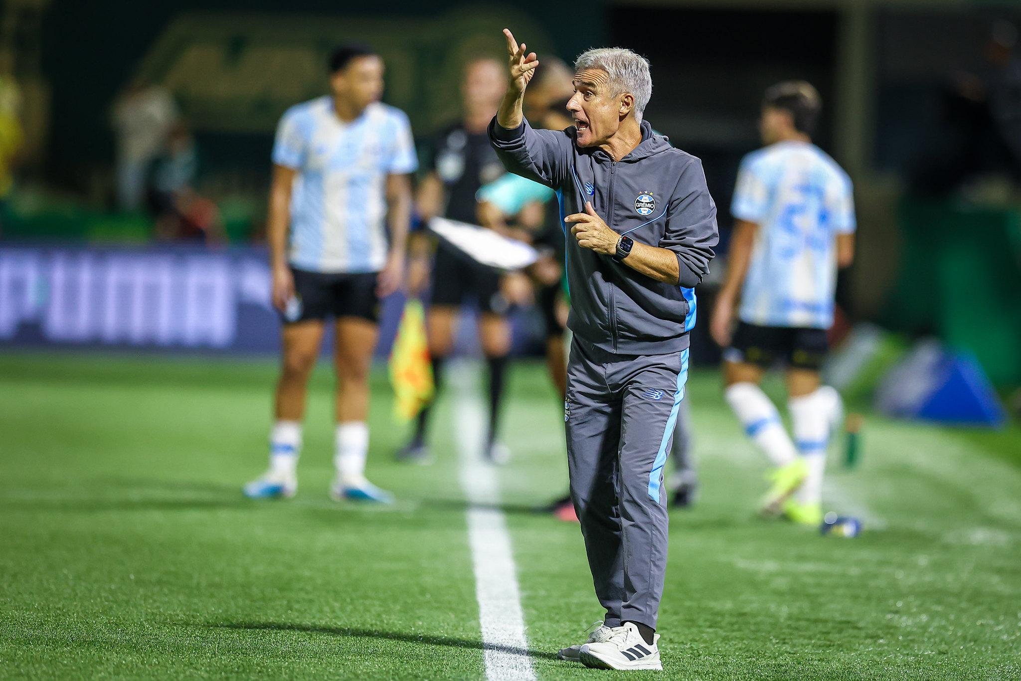 Lu&iacute;s Castro reconhece dificuldades na temporada gremista