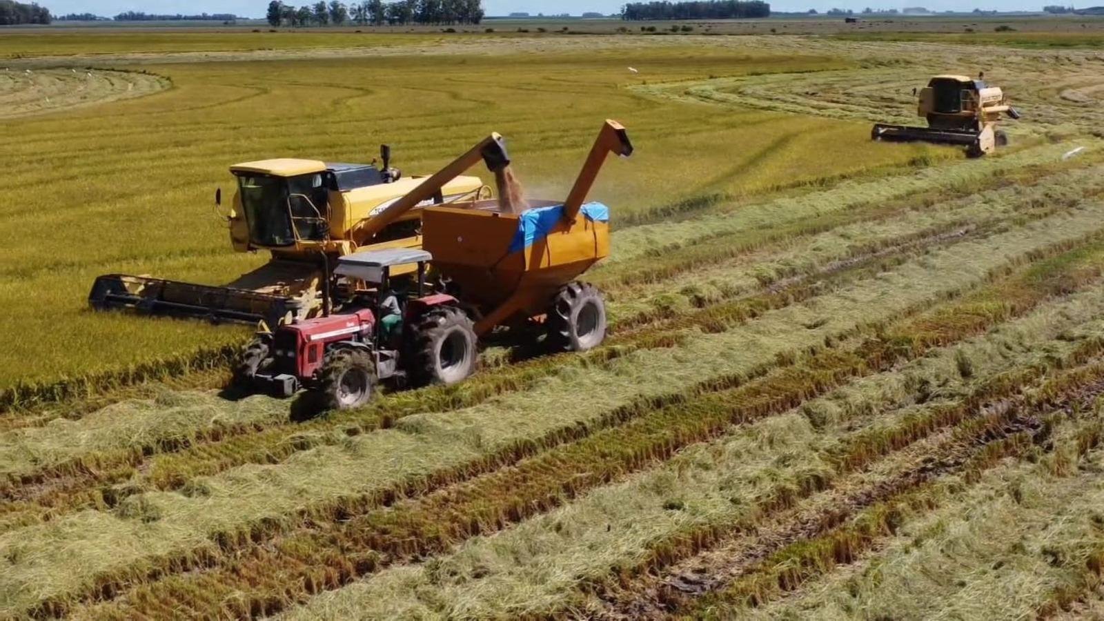 Opera&ccedil;&otilde;es de comercializa&ccedil;&atilde;o da produ&ccedil;&atilde;o agropecu&aacute;ria somaram R$ 1,5 bilh&atilde;o em julho