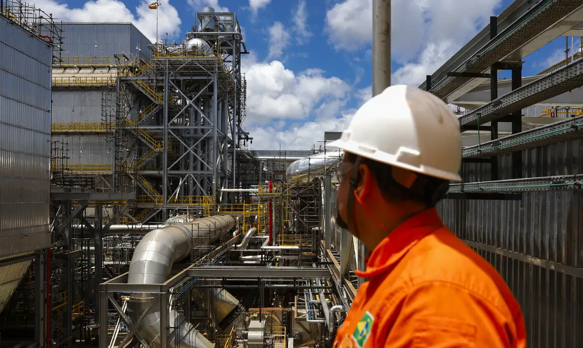 A companhia garantiu tamb&eacute;m a entrega da totalidade dos volumes contratados no leil&atilde;o
