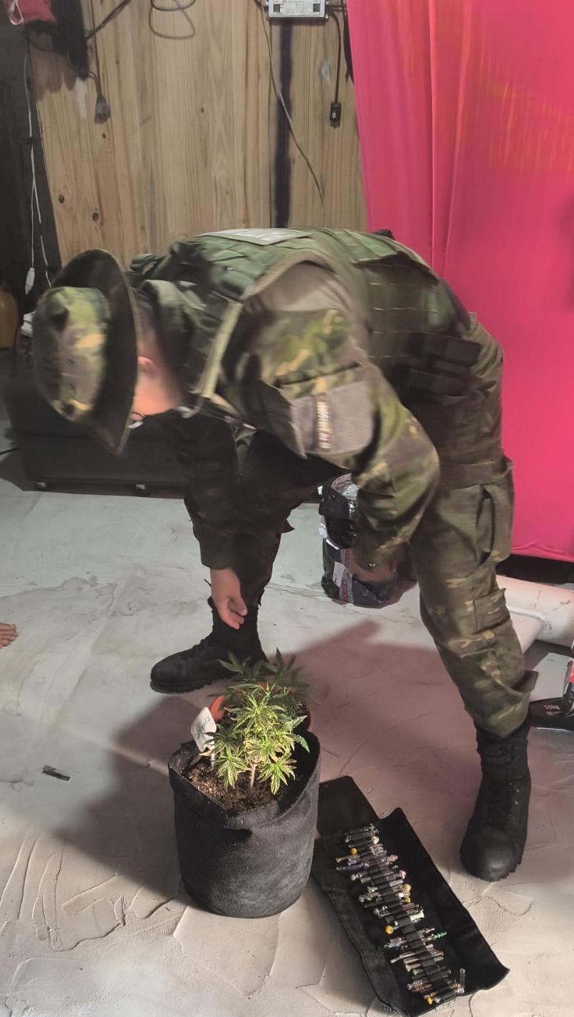 Ao todo, foram apreendidos 15 p&eacute;s de maconha na casa do suspeito