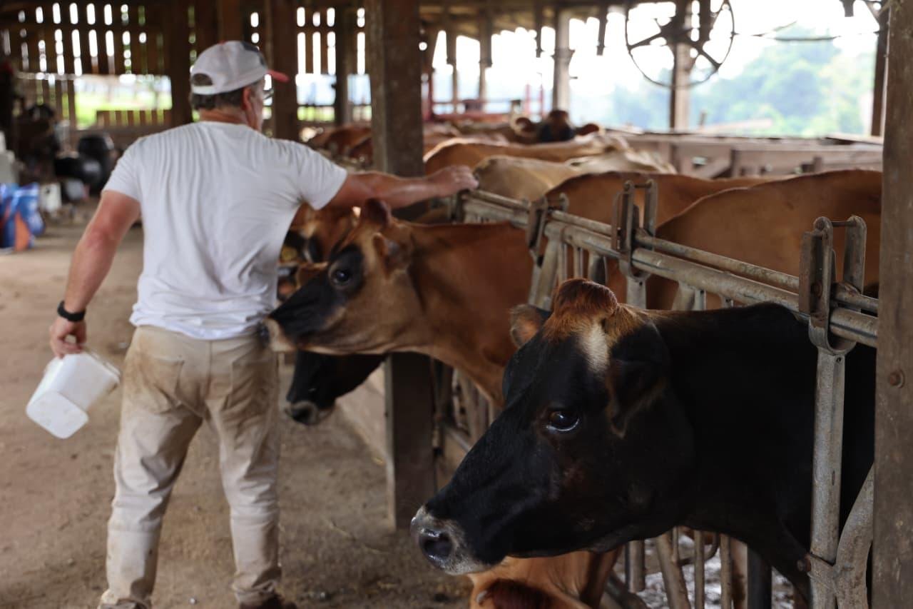 O estudo vai reunir informa&ccedil;&otilde;es de mais de 4 mil fam&iacute;lias sobre gest&atilde;o das agroind&uacute;strias sucess&atilde;o familiar e outros temas