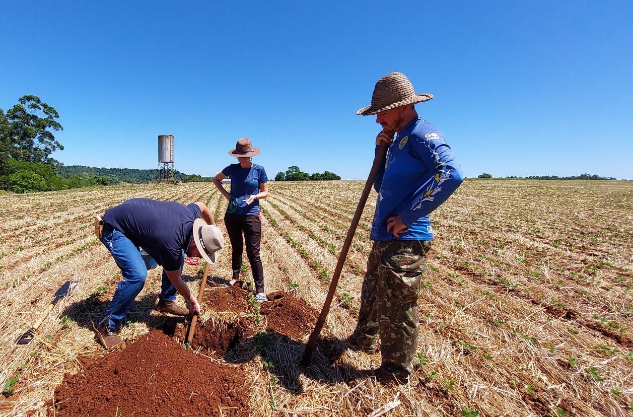 Opera&ccedil;&atilde;o Terra Forte j&aacute; fez o diagn&oacute;stico dos solos de quase 5 mil agricultores familiares