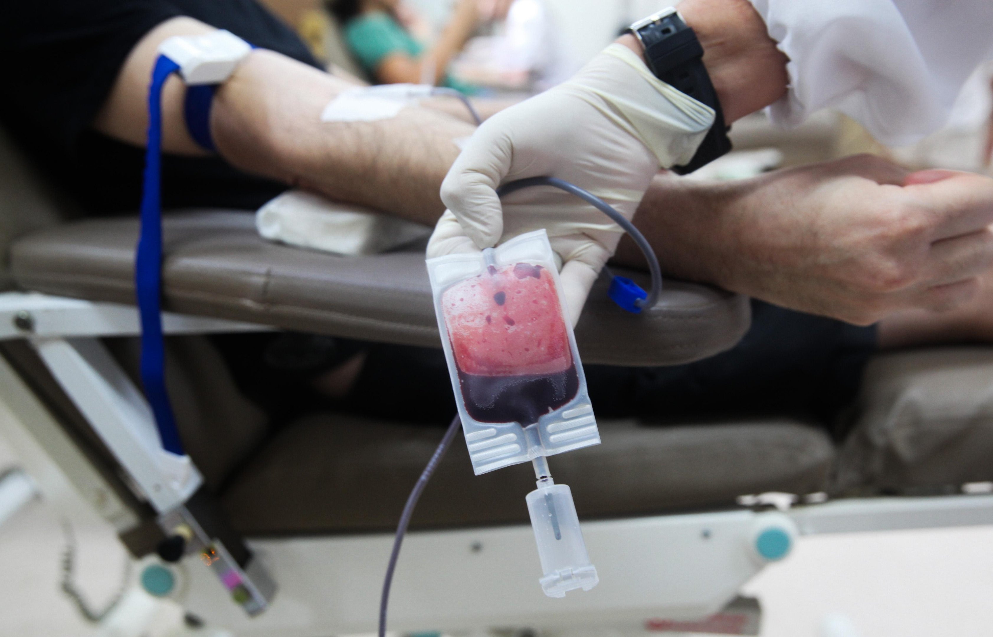 Hemocentro do RS solicita doa&ccedil;&otilde;es de sangue de todos os tipos
