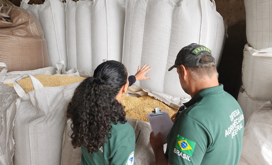 Valor estimado dos produtos retidos &eacute; de cerca de R$ 6,1 milh&otilde;es