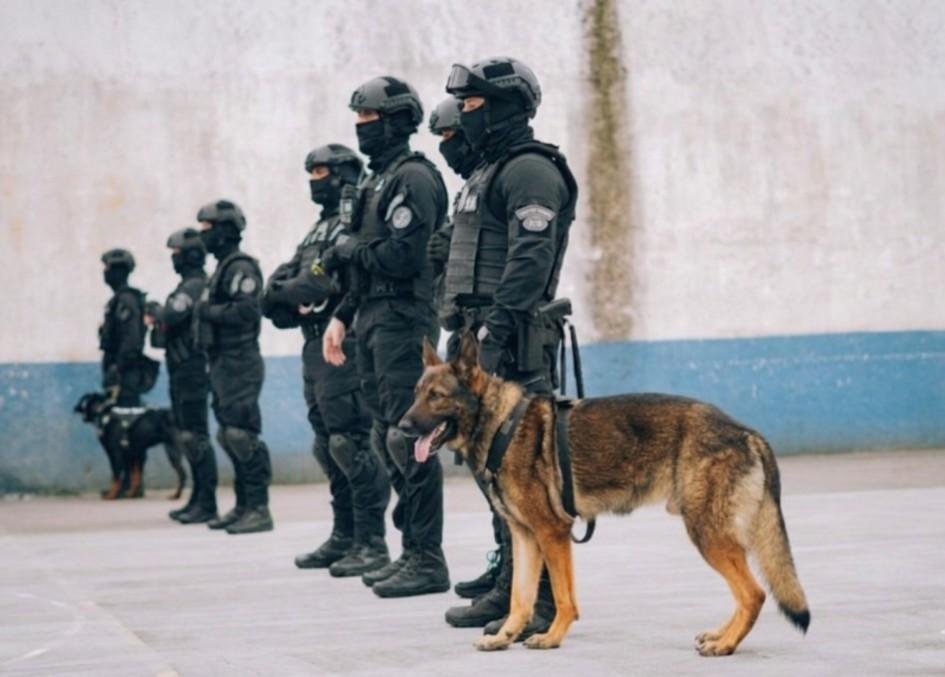 Institui&ccedil;&atilde;o conta com 26 c&atilde;es operacionais e 13 policiais penais especializados em cinotecnia