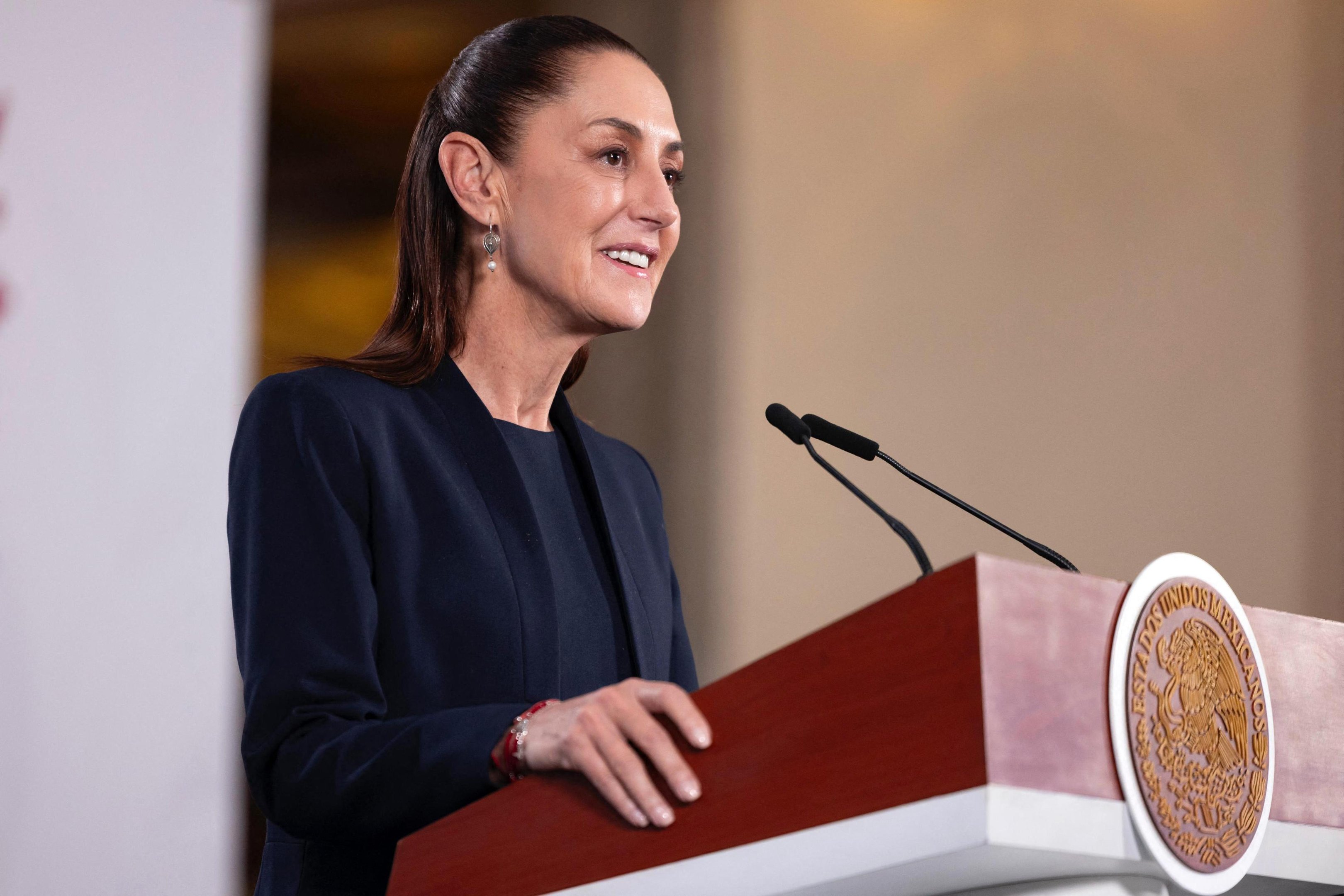 Presidente mexicana, Claudia Sheinbaum, afirmou  que o governo federal est&aacute; investigando se os dois americanos participaram de uma opera&ccedil;&atilde;o de seguran&ccedil;a interna sem autoriza&ccedil;&atilde;o