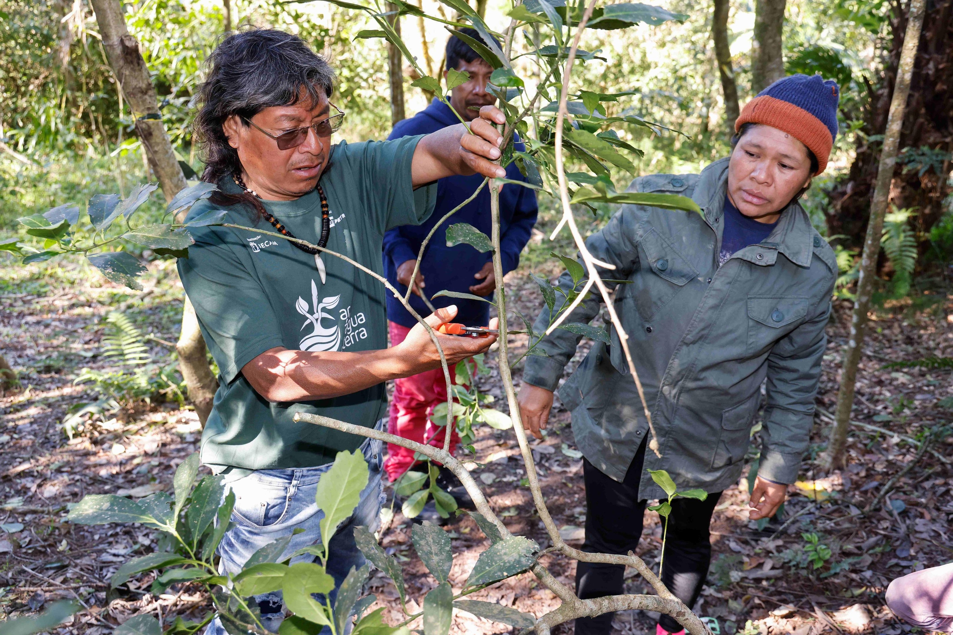 Cacique Jos&eacute; Cirilo Pires Morinico, da Teko&rsquo;a Anhetengu&aacute; (Aldeia da Verdade), orienta o manejo