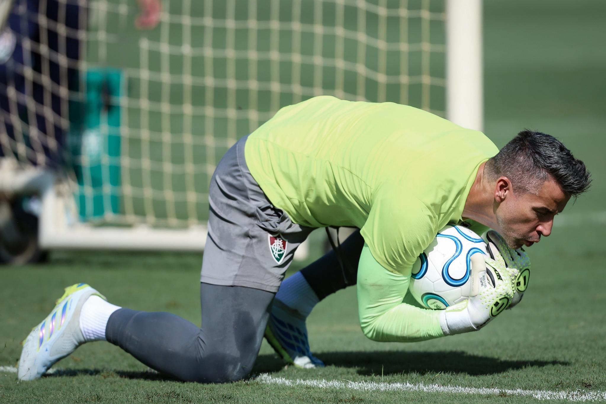Goleiro F&aacute;bio &eacute; a certeza de seguran&ccedil;a no gol do Fluminense