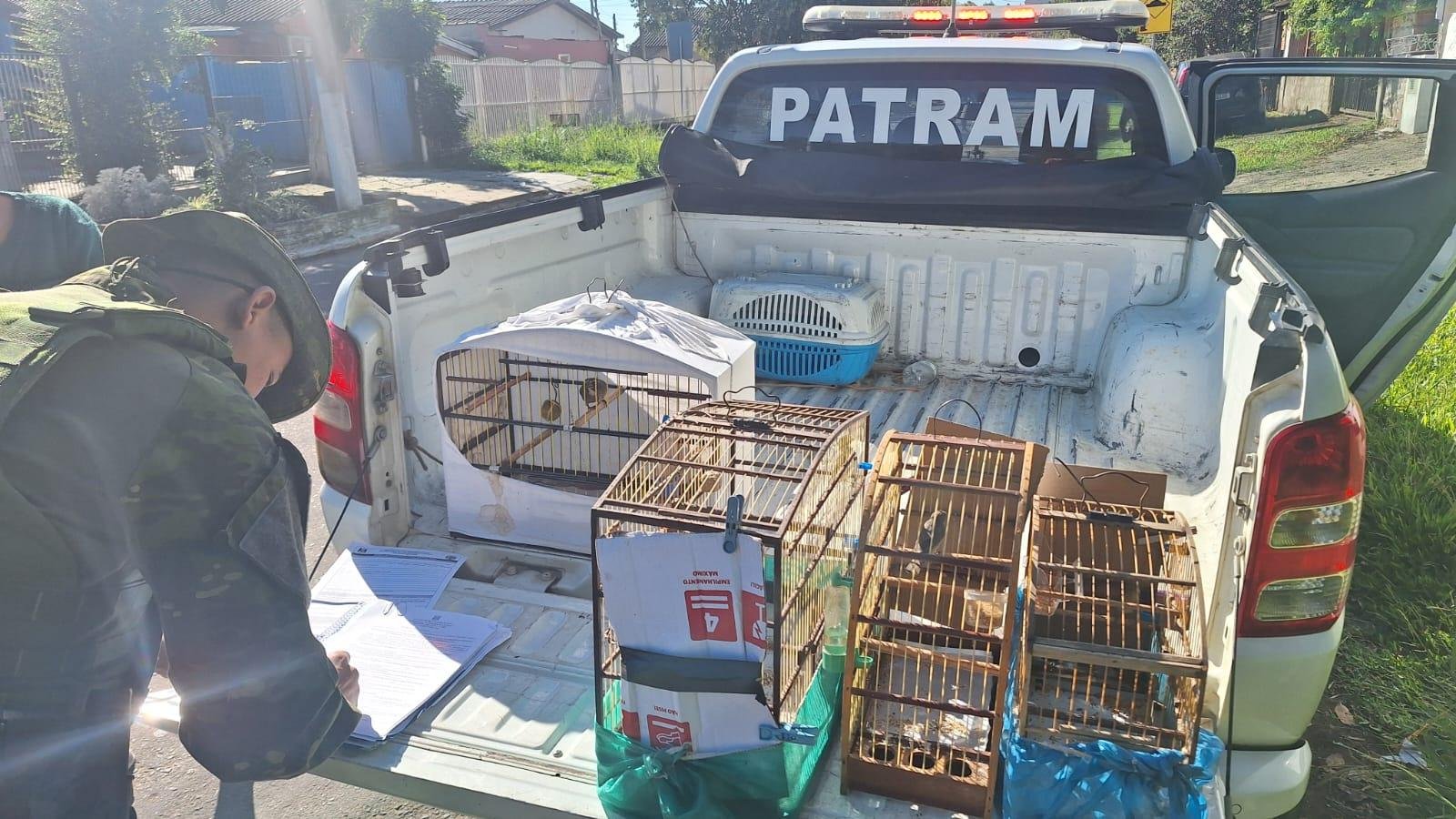 Aves foram encaminhadas para avalia&ccedil;&atilde;o cl&iacute;nica e ap&oacute;s foram devolvidas ao seu habitat natural