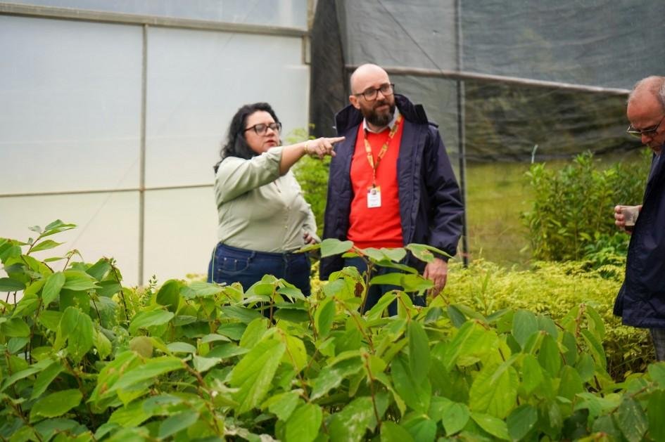 Lideran&ccedil;as do governo fizeram visita t&eacute;cnica ao Centro Estadual de Diagn&oacute;stico e Pesquisa Florestal (Ceflor), em Santa Maria, para acompanhar a produ&ccedil;&atilde;o de mudas