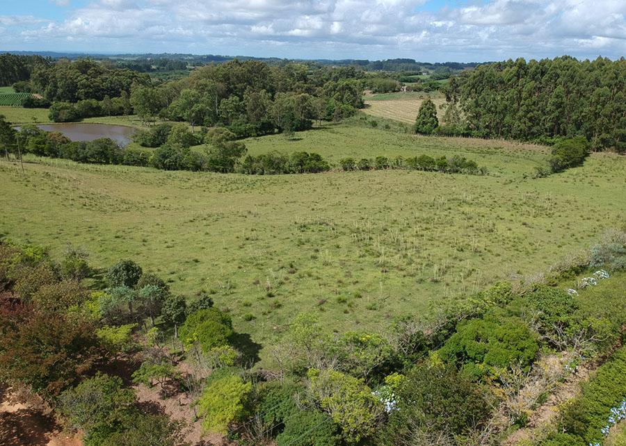O objetivo &eacute; fornecer informa&ccedil;&otilde;es e recomenda&ccedil;&otilde;es para auxiliar os agricultores na melhoria dos sistemas produtivos como um todo, como rentabilidade, conserva&ccedil;&atilde;o ambiental e qualidade de vida