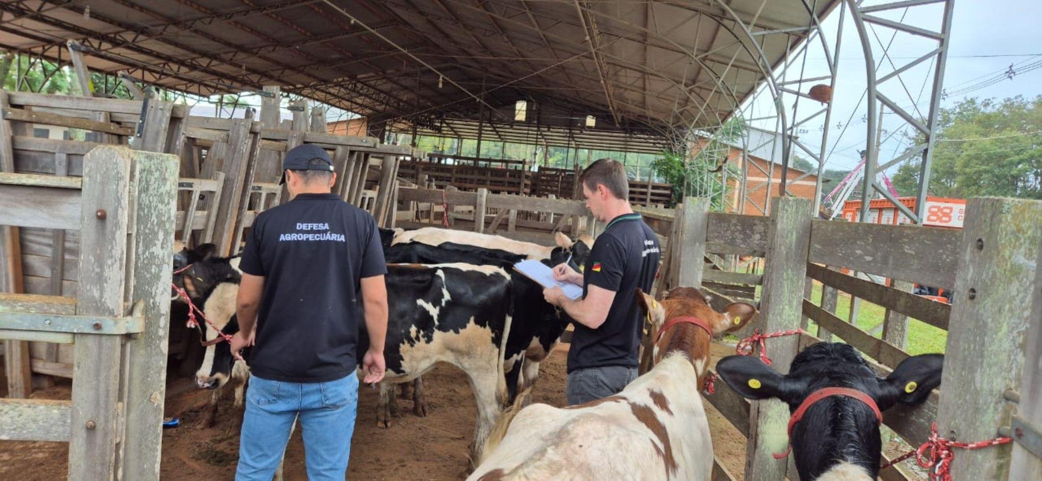 Servi&ccedil;o tamb&eacute;m confere a documenta&ccedil;&atilde;o dos animais de acordo com o regulamento da feira
