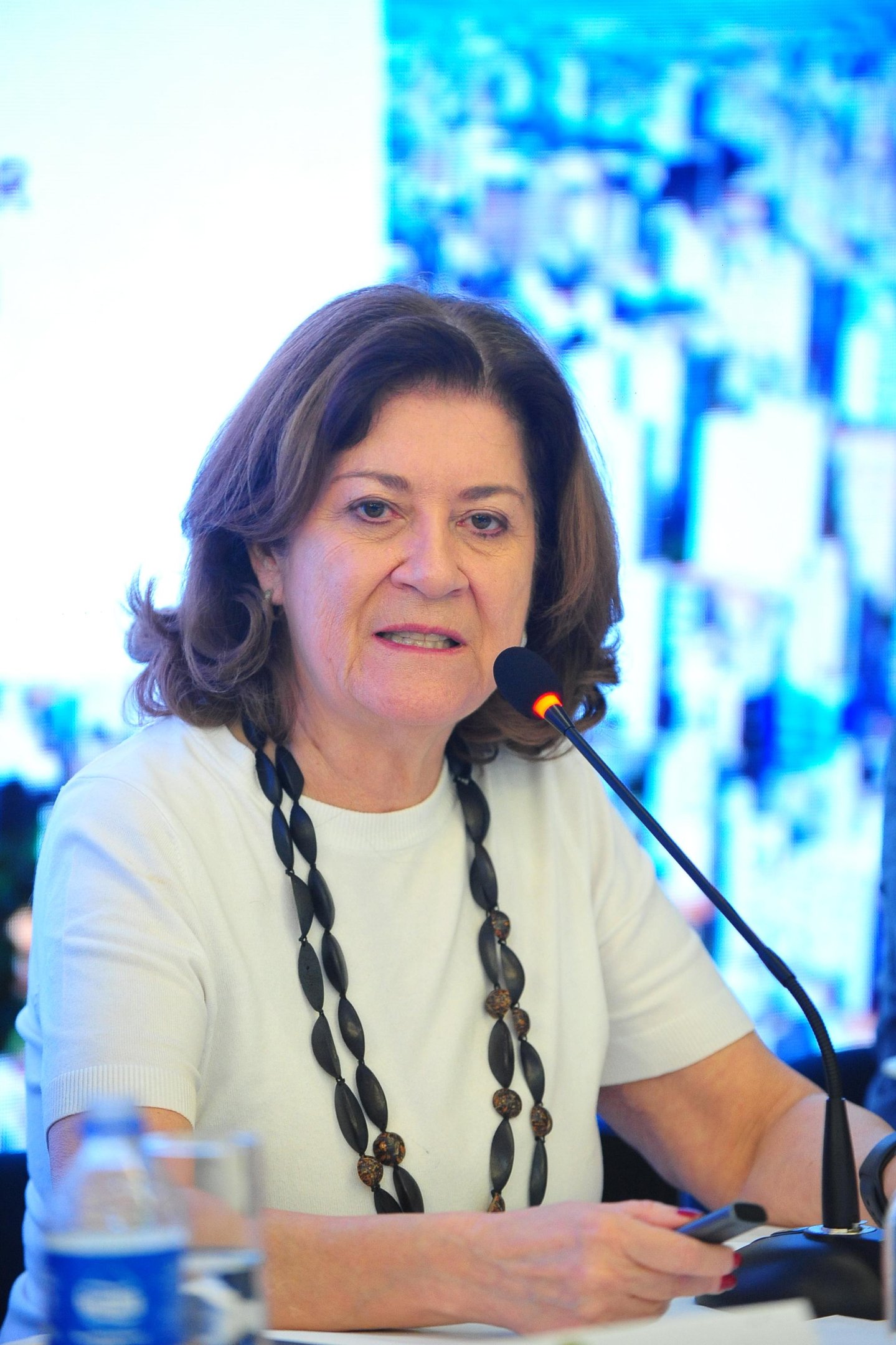 Ministra falou sobre risco de quebra na safra de arroz no Rio Grande do Sul