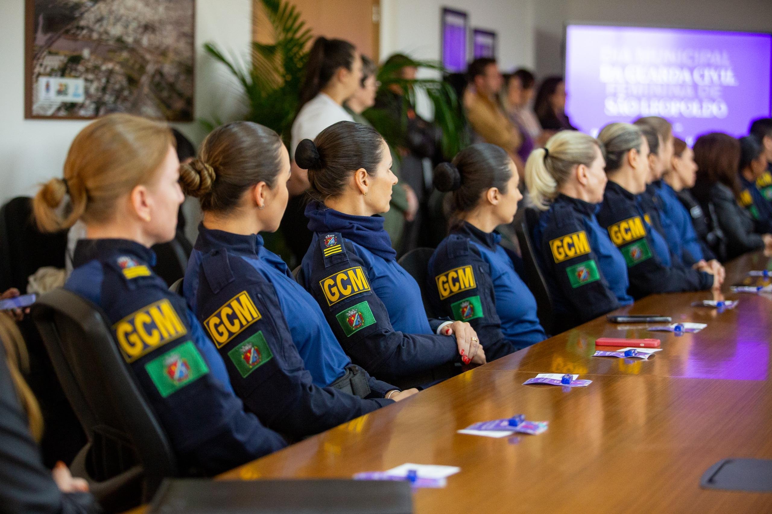 Atualmente S&atilde;o Leopoldo tem 356 medidas protetivas ativas