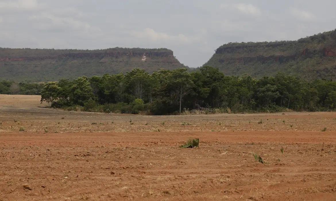 MapBiomas apresenta dados sobre vegeta&ccedil;&atilde;o