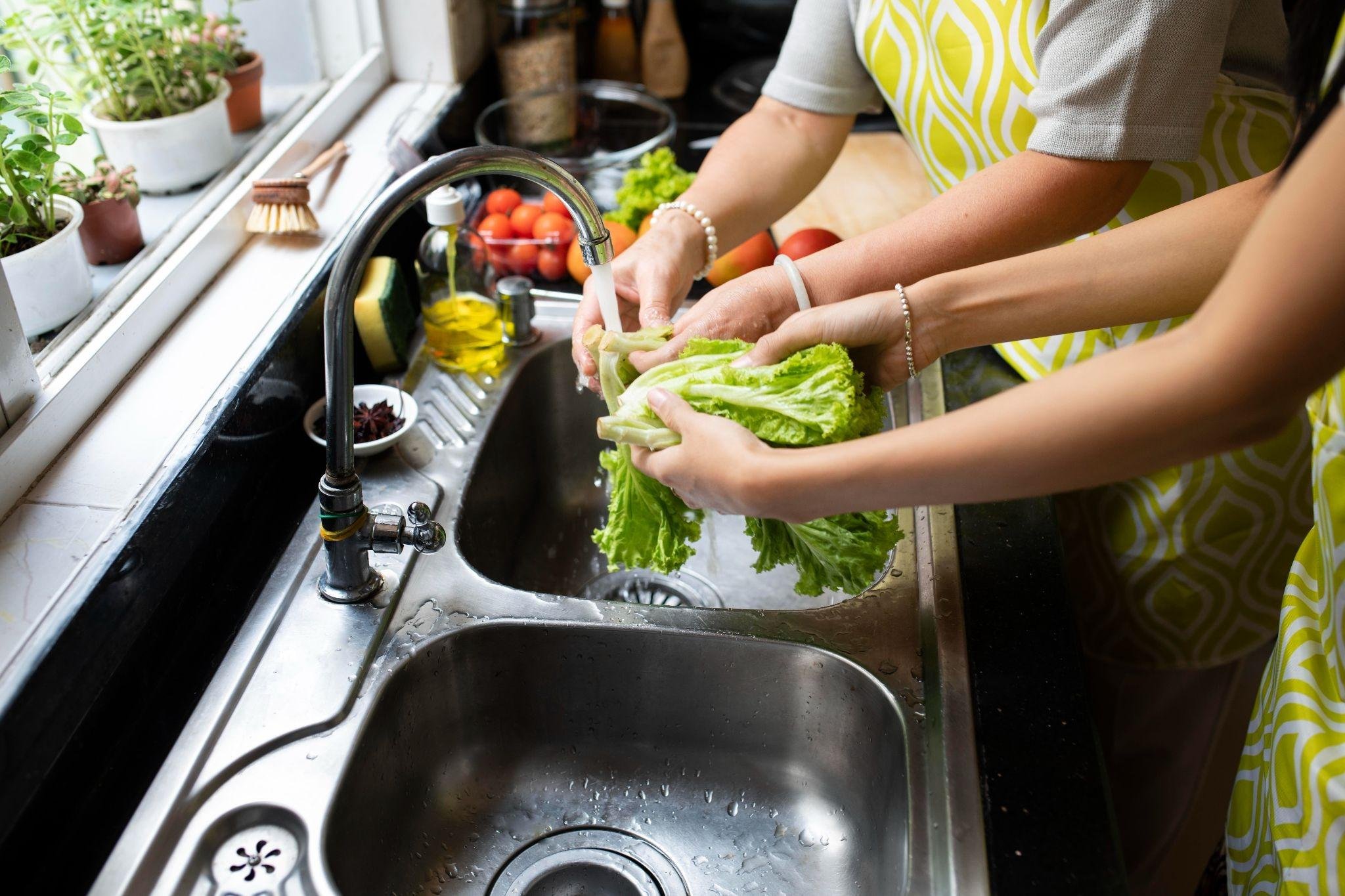 &Aacute;gua corrente ajuda a retirar sujeiras vis&iacute;veis, mas frutas, verduras e legumes precisam passar por sanitiza&ccedil;&atilde;o adequada antes do consumo