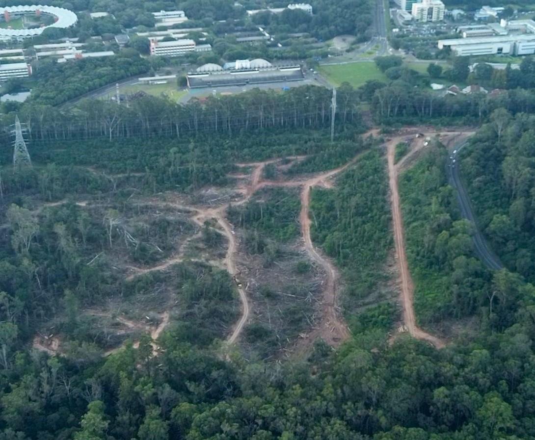 O Horto Florestal de Sapucaia fica pr&oacute;xima a BR116, junto do Parque Zool&oacute;gico