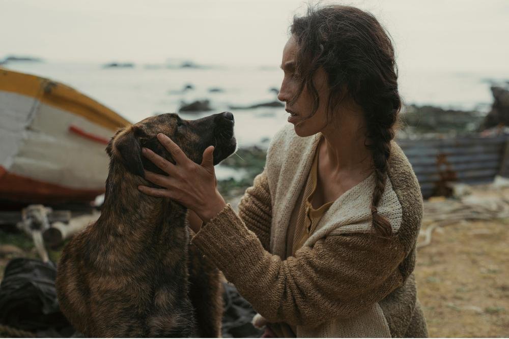 Yuri &eacute; a cadela protagonista do filme "La perra', da diretora chilena Dominga Sotomayor