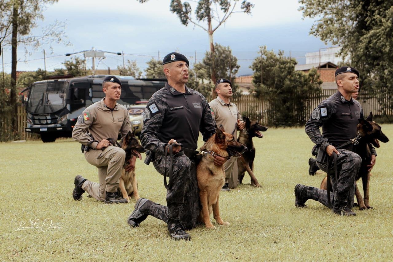 Efetivo canino da Brigada Militar conta com 98 animais