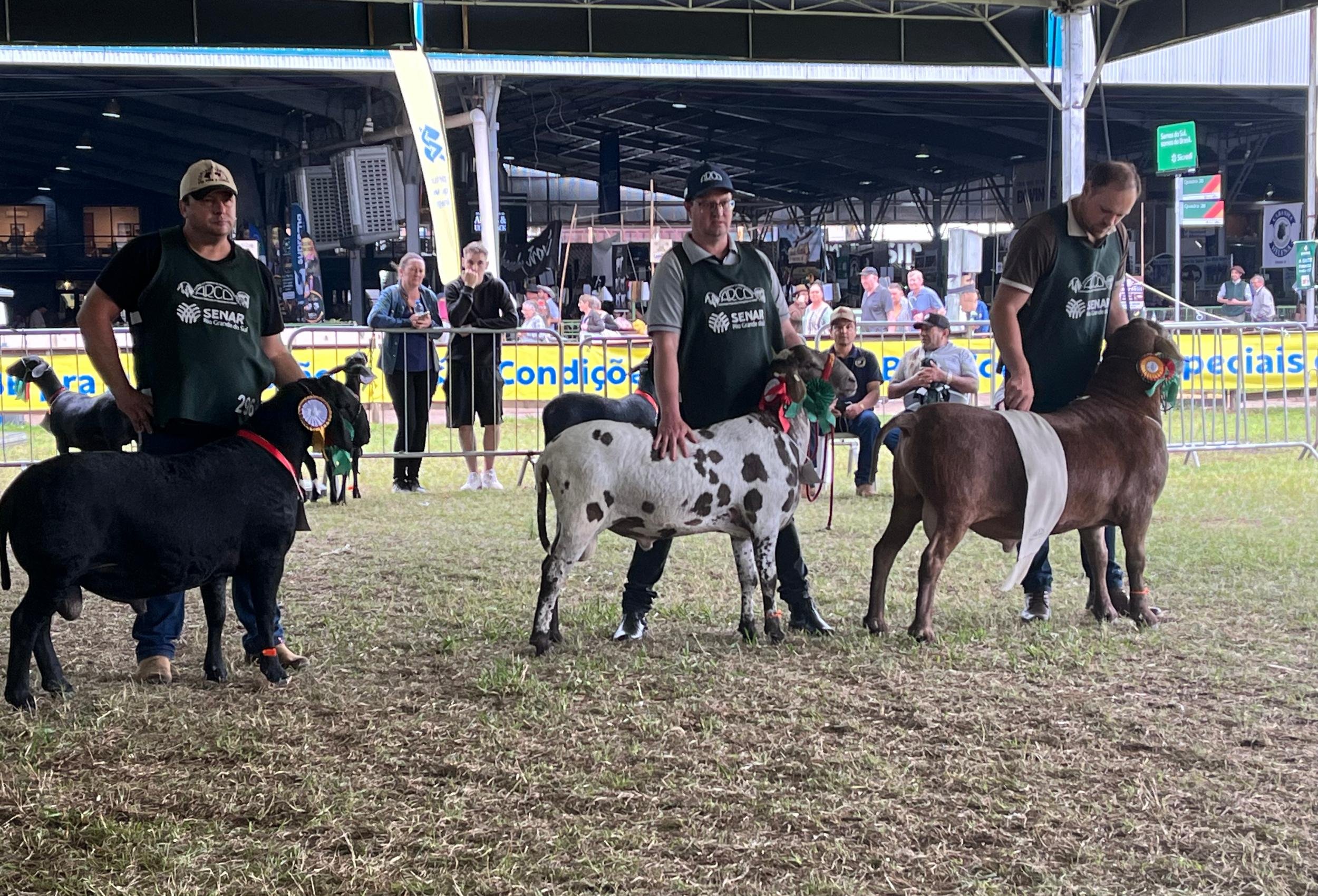 A expectativa da entidade &eacute; que a feira re&uacute;na animais de elevado padr&atilde;o gen&eacute;tico