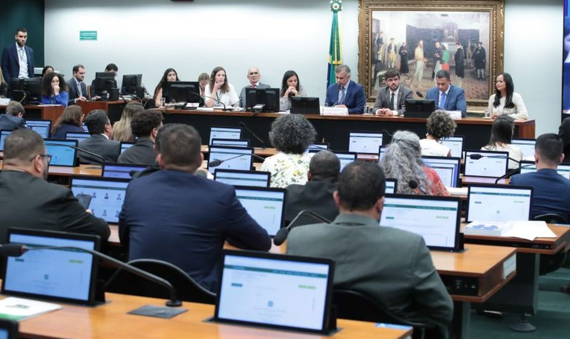 O tema vem dividindo parlamentares na comiss&atilde;o