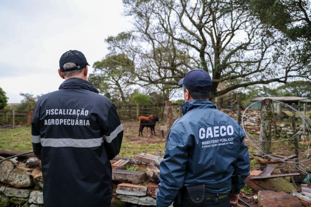 Organiza&ccedil;&atilde;o criminosa que movimentou cerca de R$ 100 milh&otilde;es com uso de propriedades rurais arrendadas