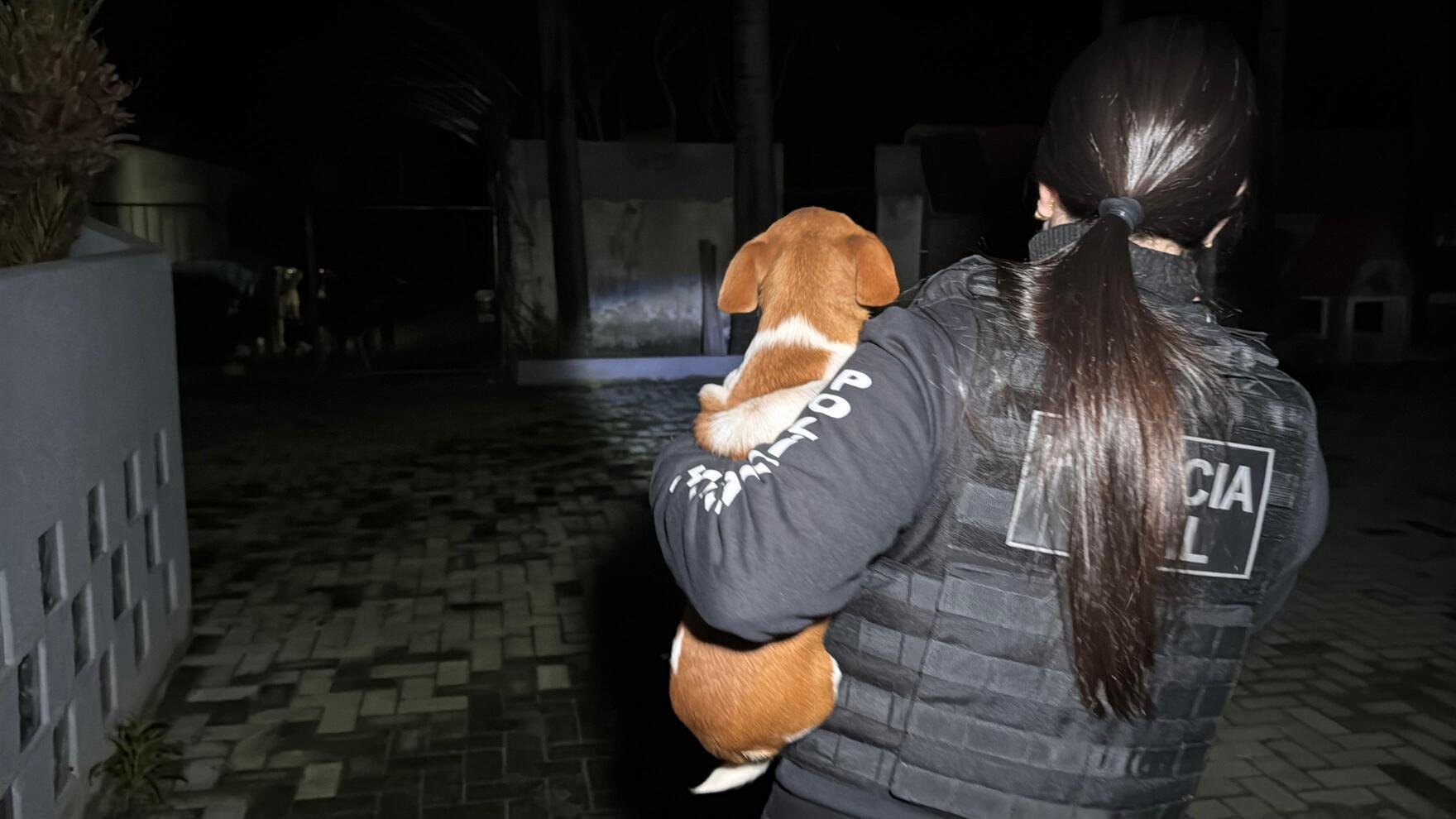 Opera&ccedil;&atilde;o contra eutan&aacute;sia indevida de animais prendeu tr&ecirc;s pessoas nesta segunda-feira
