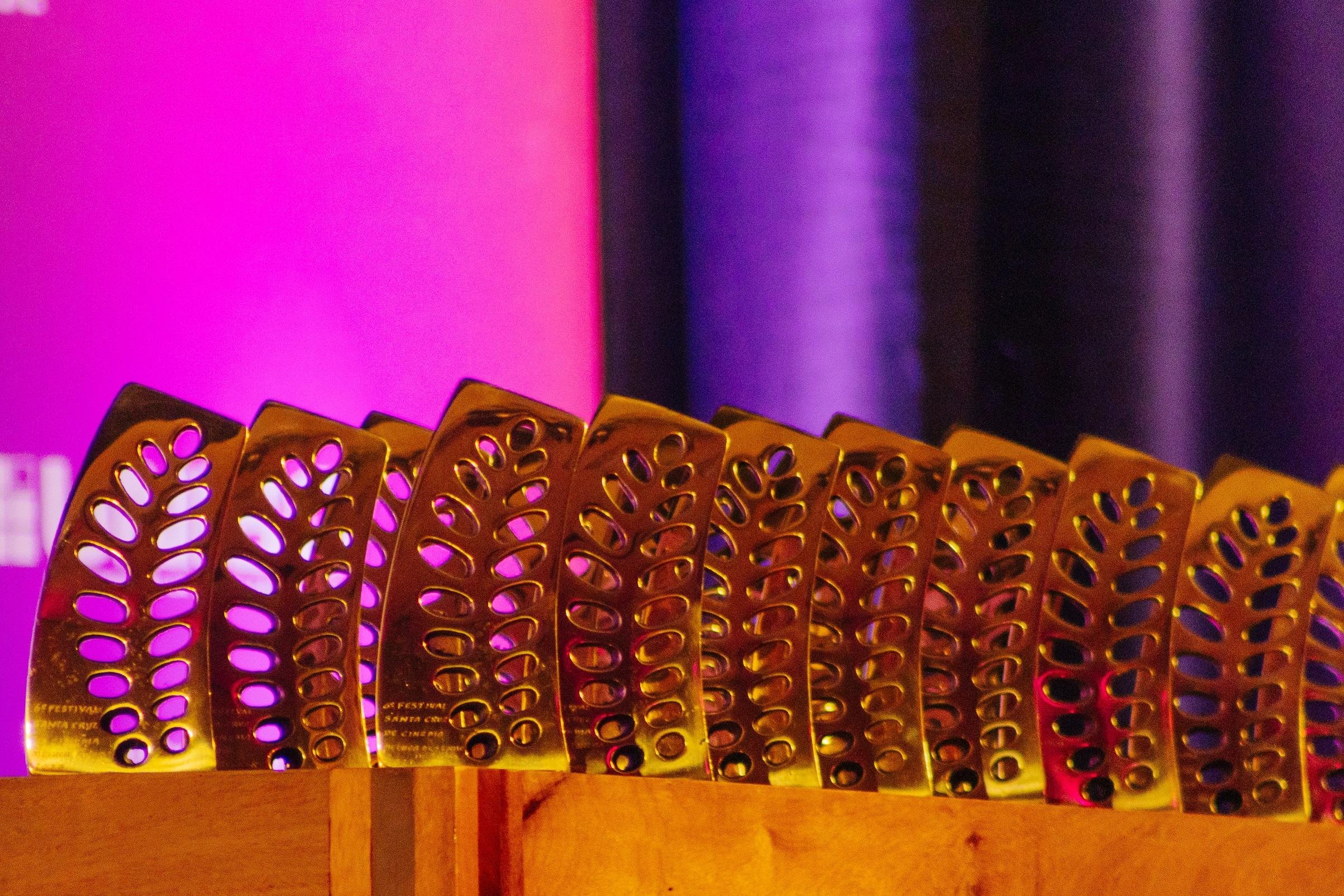 O Trof&eacute;u Tipuana &eacute; a premia&ccedil;&atilde;o do evento em Santa Cruz