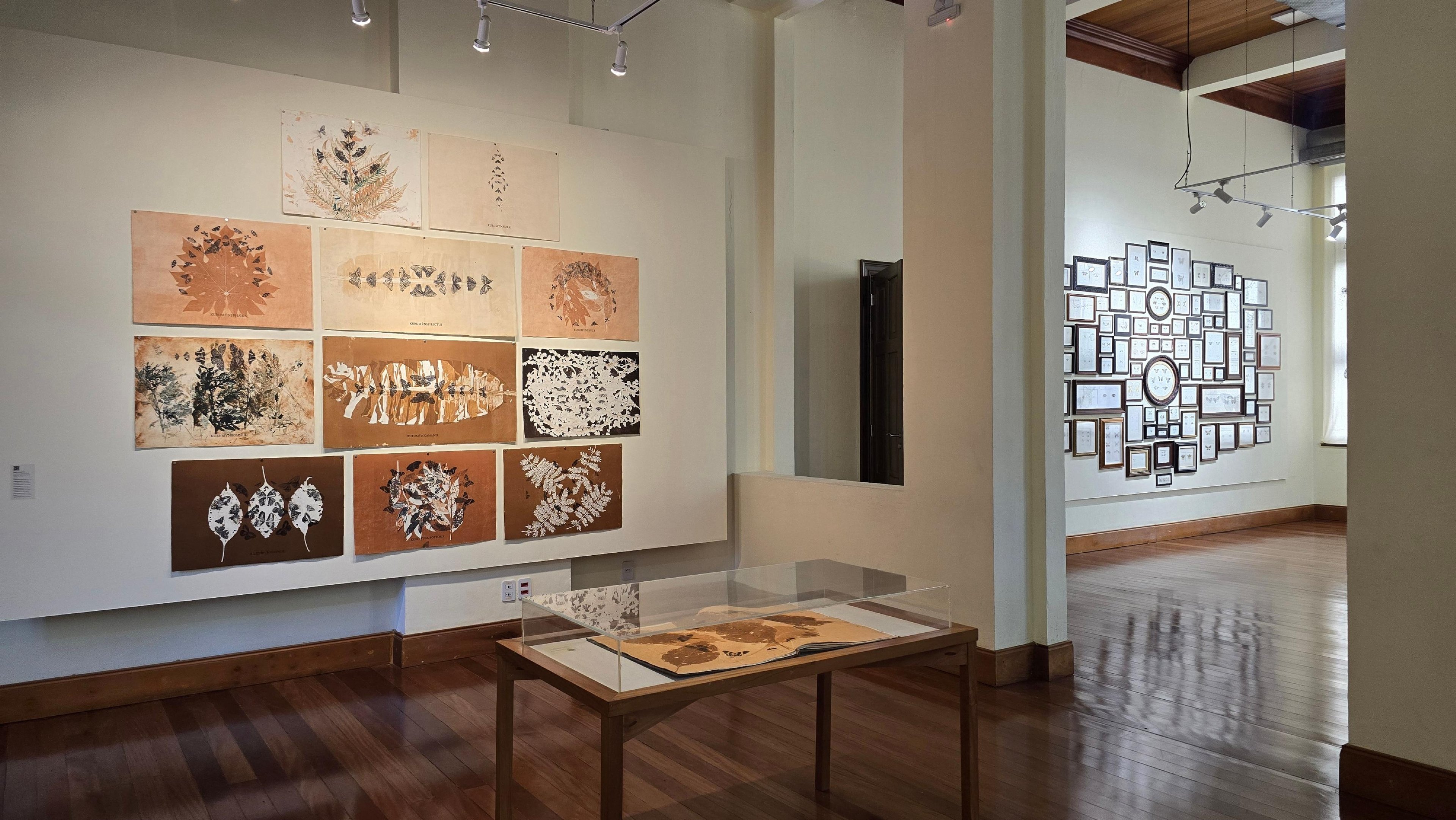 "Panapan&atilde; &ndash; Papilionis Transectum", selecionado pelo Edital do Centro Cultural da Ufrgs, ficou em cartaz at&eacute; ter&ccedil;a, 16 de junho, no Centro Cultural da Ufrgs &ndash; Sala Laranjeira &ndash; Campus Central