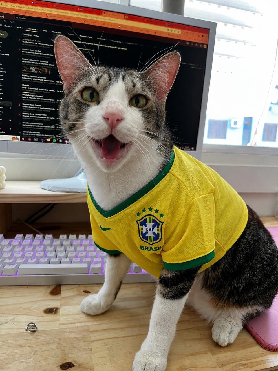 Excesso de ru&iacute;dos, somado &agrave; movimenta&ccedil;&atilde;o intensa nas casas e ruas, pode provocar crises de ansiedade em gatos