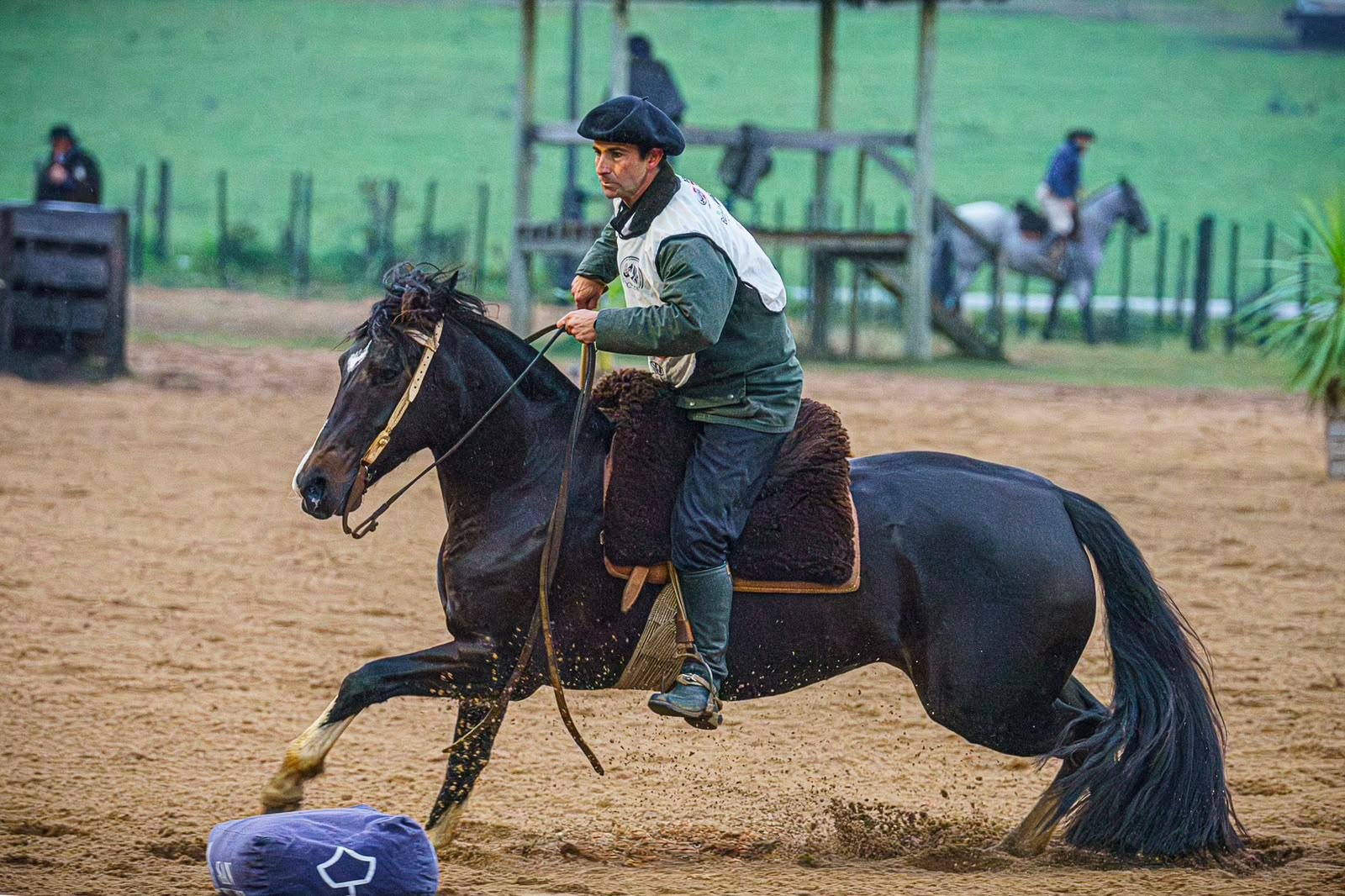 Conjunto formado pela &eacute;gua uruguaia Calhandra da Coxilha Alta e o ginete brasileiro Tomaz Gon&ccedil;alves venceu entre as f&ecirc;meas