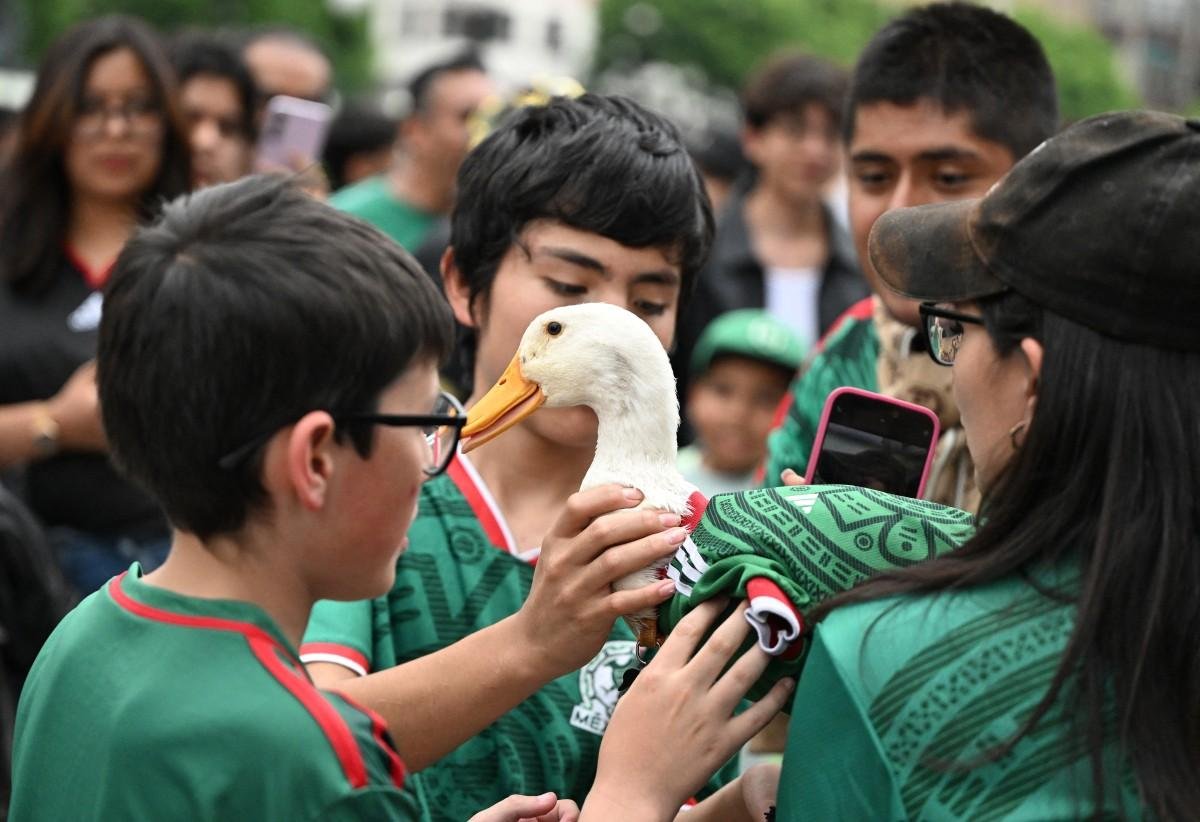 Pato se tornou mascote n&atilde;o oficial do Mundial ap&oacute;s viralizar