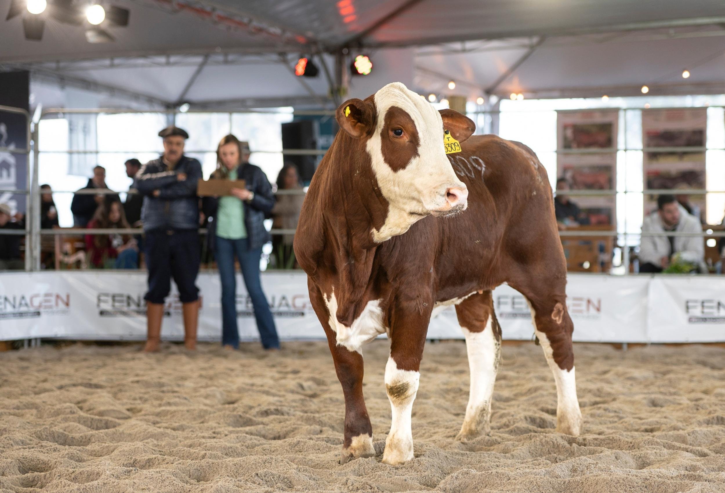 Terceira edi&ccedil;&atilde;o da Fenagen ocorre de 1&ordm; a 4 de julho, na Associa&ccedil;&atilde;o Rural de Pelotas