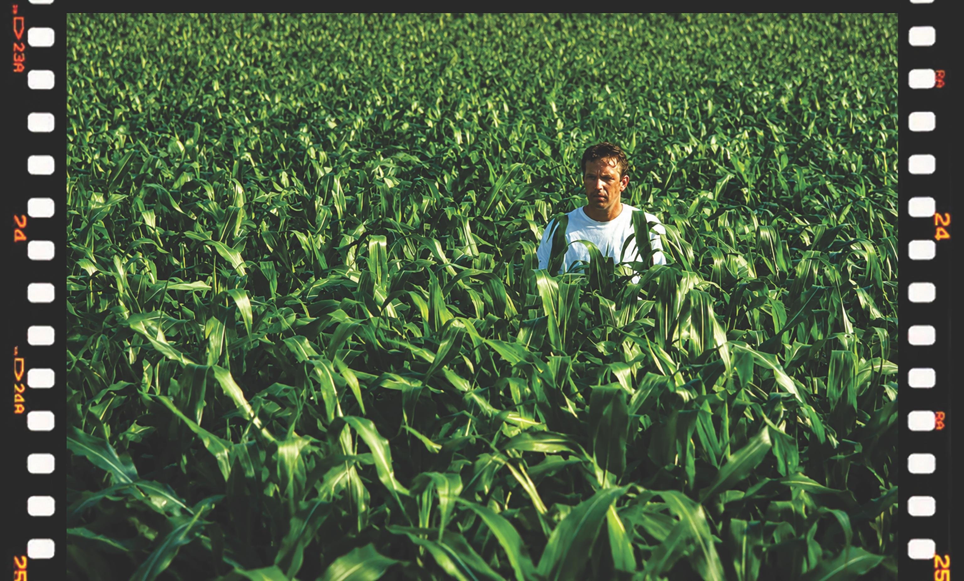 Estrelado por Kevin Costner, "Campo dos Sonhos" destacou planta&ccedil;&atilde;o de milho no Iowa