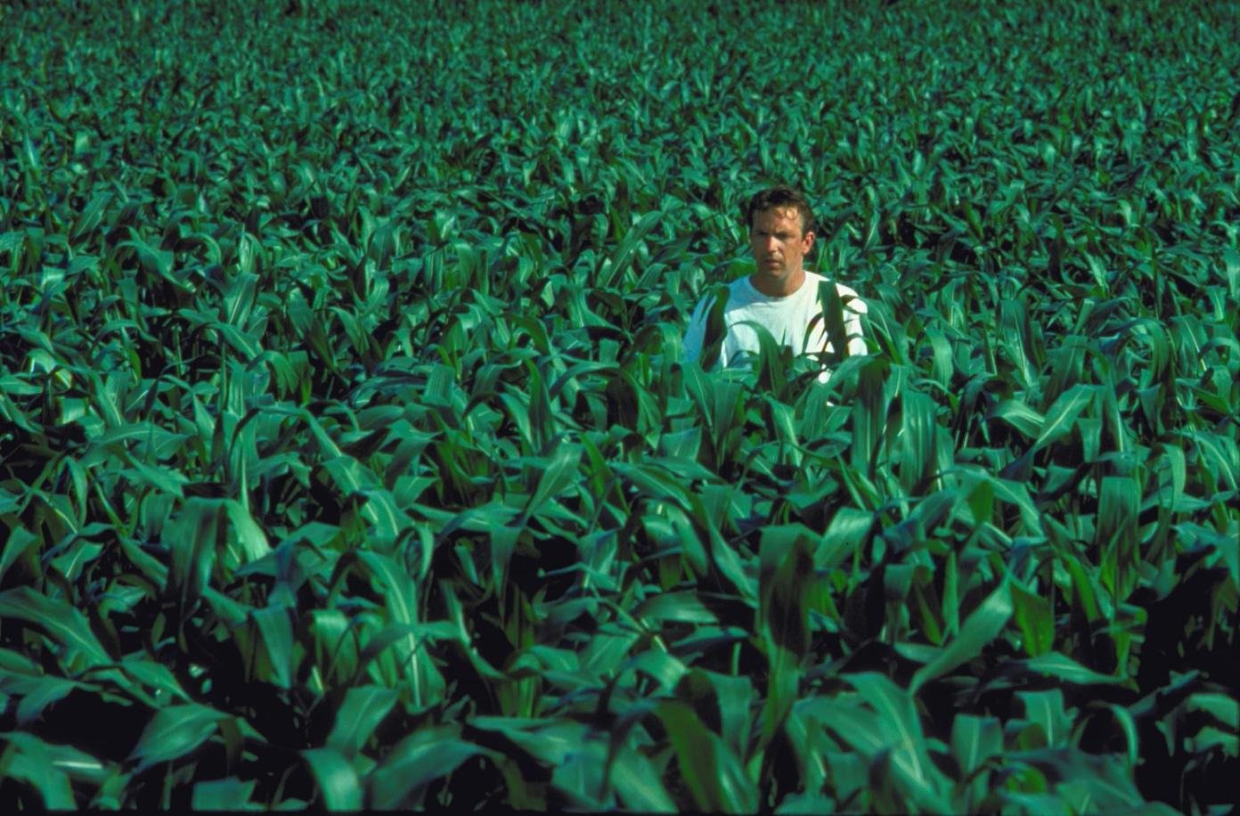 Milharal &eacute; uma das imagens mais marcantes de longa protagonizado por Kevin Costner