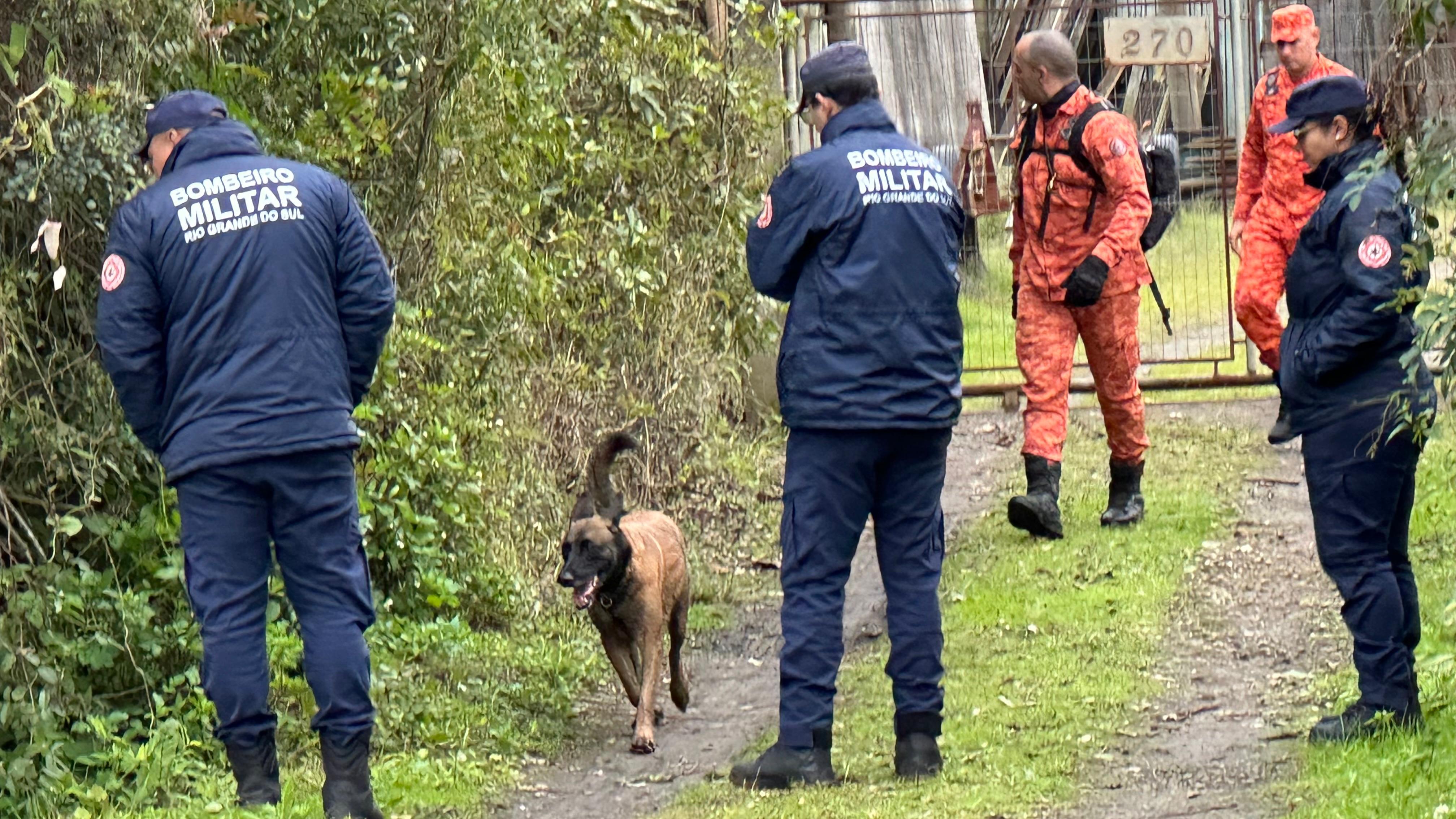 C&atilde;o farejador participou das buscas, mas n&atilde;o localizou os corpos