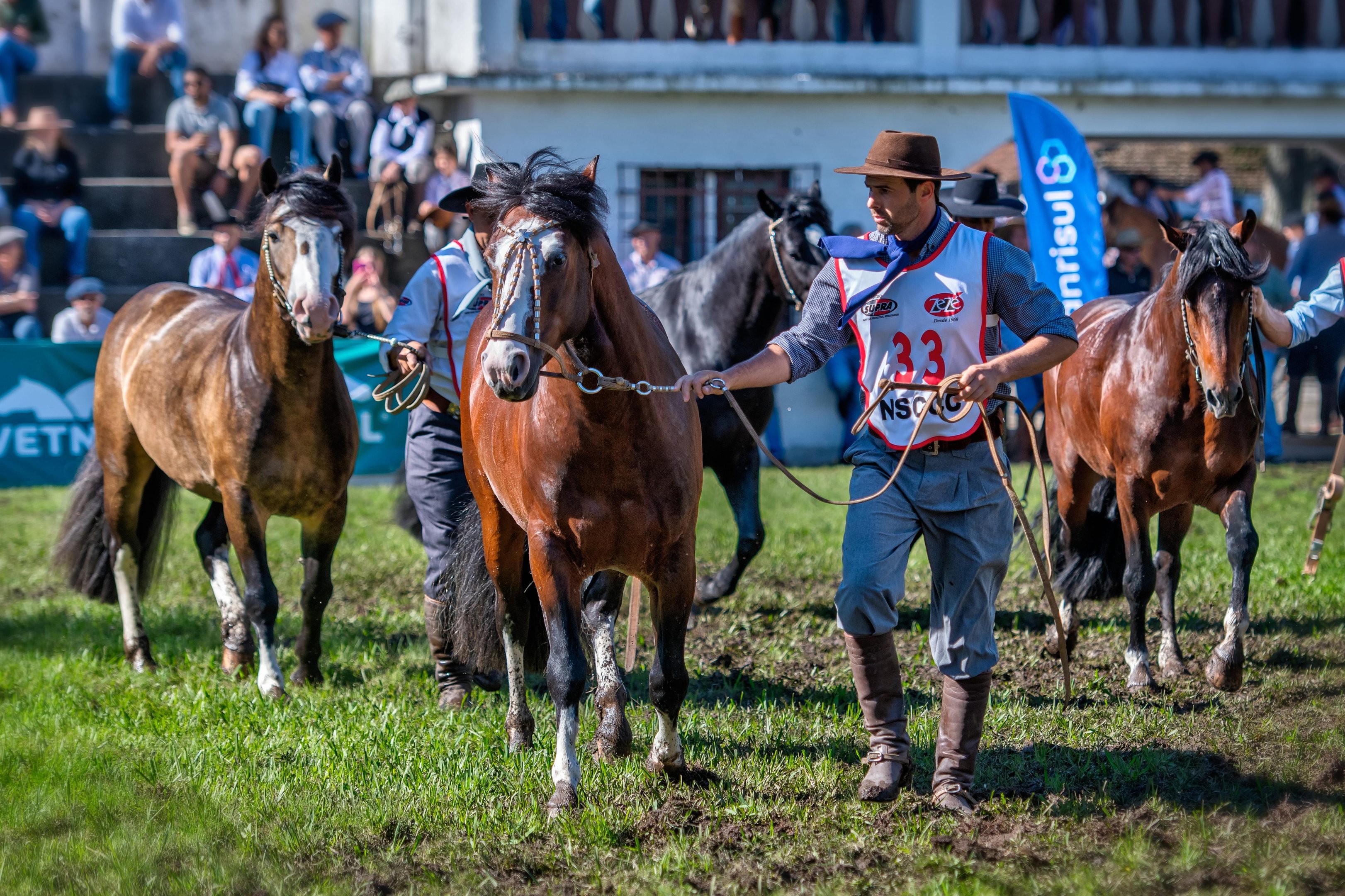 Posteriormente &agrave; prova em Pelotas, haver&aacute; apenas mais uma chance de competir pelo t&iacute;tulo Master da Morfologia