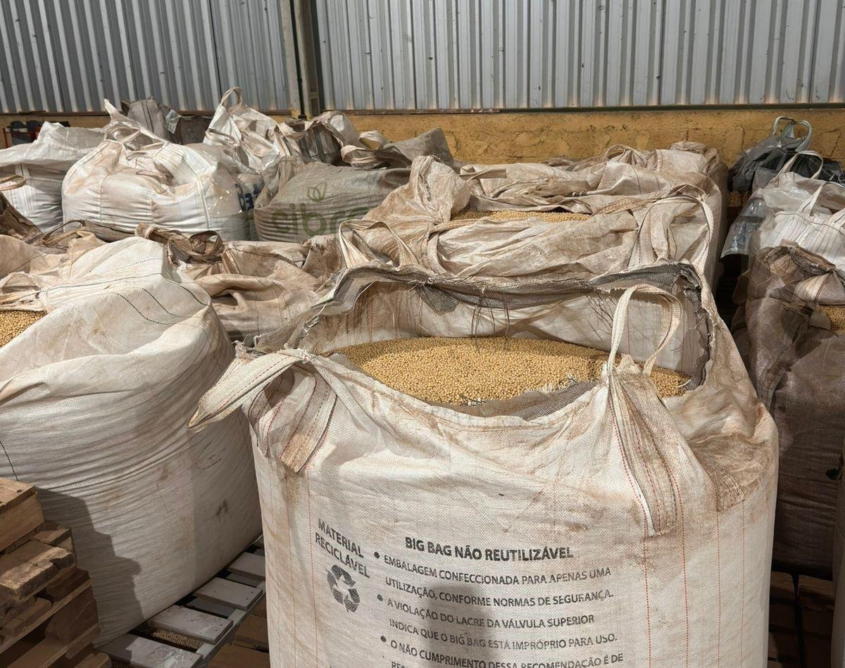 A utiliza&ccedil;&atilde;o de sementes il&iacute;citas causa um um preju&iacute;zo ao setor sementeiro de R$ 10 bilh&otilde;es