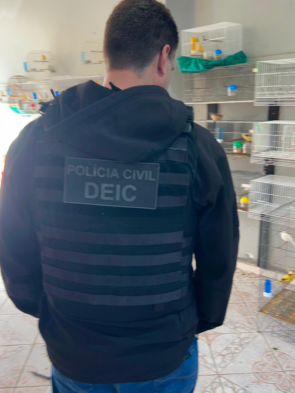 Investiga&ccedil;&otilde;es prosseguem para apurar a origem dos animais e a eventual pr&aacute;tica de crime ambiental