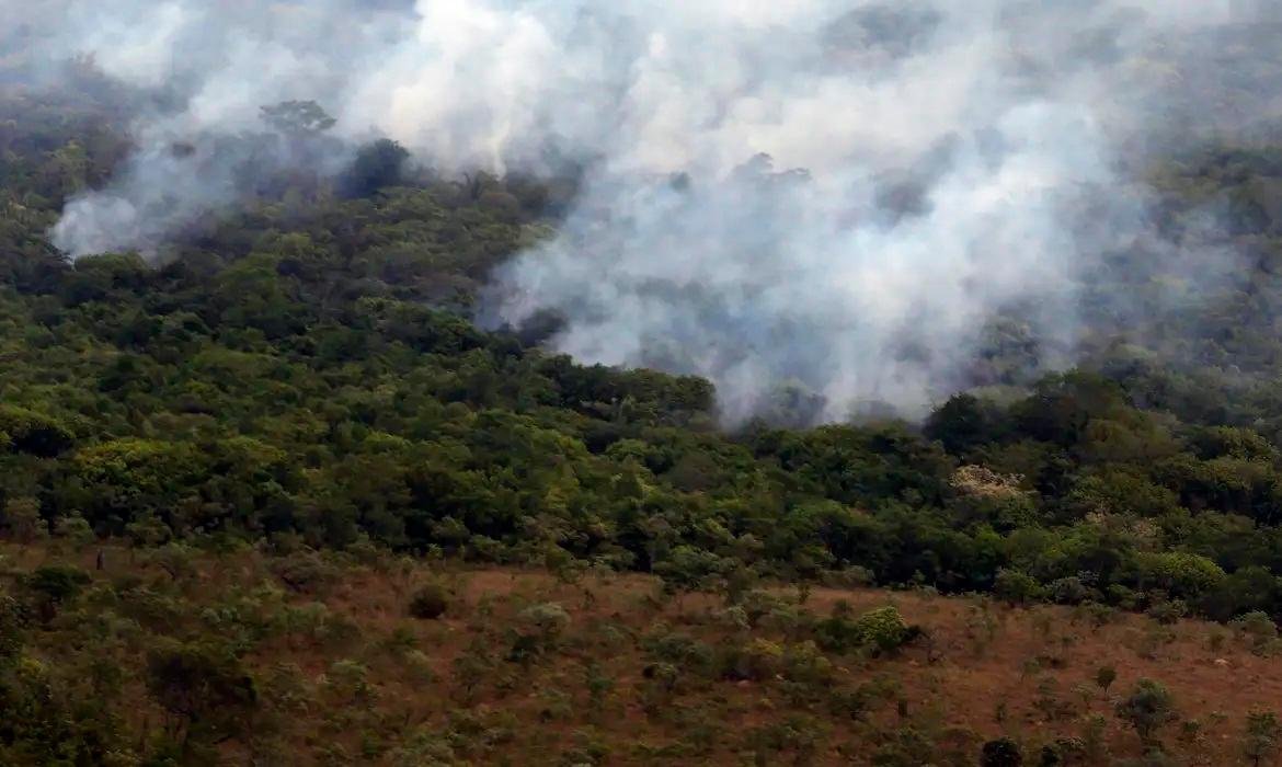 Queda nas emiss&otilde;es tem sido impulsionada pela redu&ccedil;&atilde;o dos inc&ecirc;ndios sazonais na &Aacute;frica tropical.